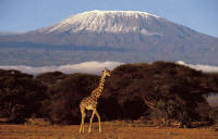The Kenya Classic Safari - Family Safaris in Kenya - Fun for everyone! - www.photo-safaris.com