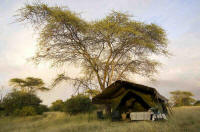 Luxury Mobile Camping Safaris in Tanzania - www.photo-safaris.com 