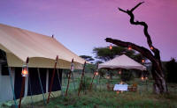 Serengeti Under Canvas - Luxury Mobile Camping Safaris in Tanzania - www.photo-safaris.com 