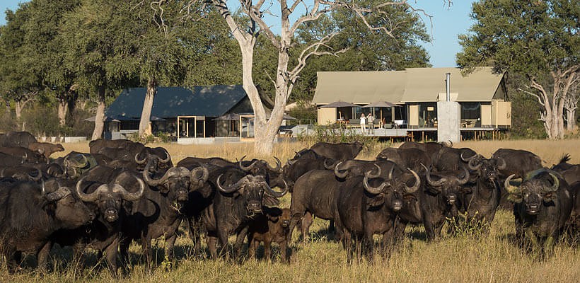 Linkwasha Camp (Hwange Game Reserve) Zimbabwe - www.africansafaris.travel