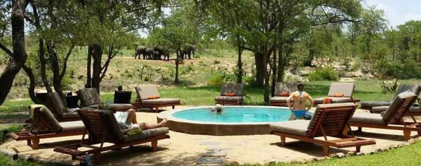 Shindzela Tented Camp (Timbavati Game Reserve) South Africa - www.africansafaris.travel