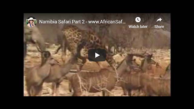 Namibia Safari Part 2 