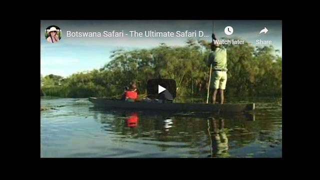 Botswana Safari Video - The Ultimate Safari Destination (Part 1)