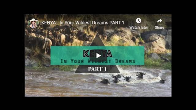 Kenya Safari Video - In Your Wildest Dreams! (Part 1)