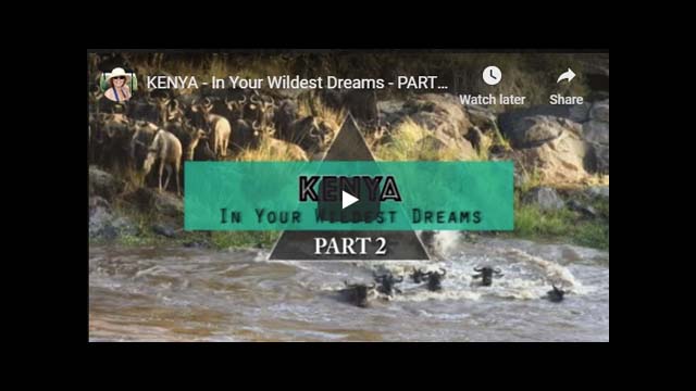 Kenya Safari Video - The Wildebeest Migration (Part 2)