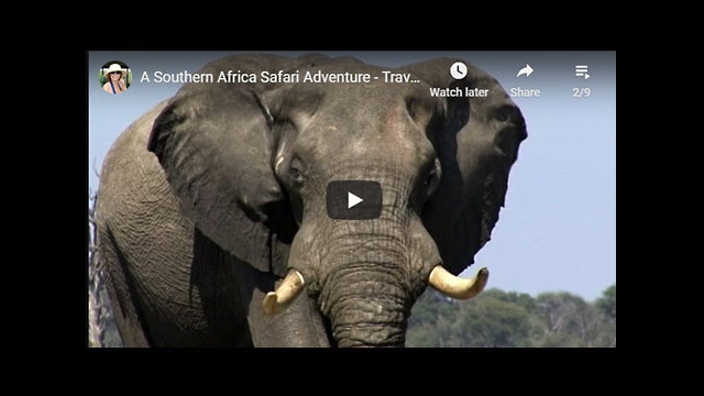 A Southern Africa Adventure - 2014 Travelogue PART 2 - ZIMBABWE - Vic Falls & Davisons Camp