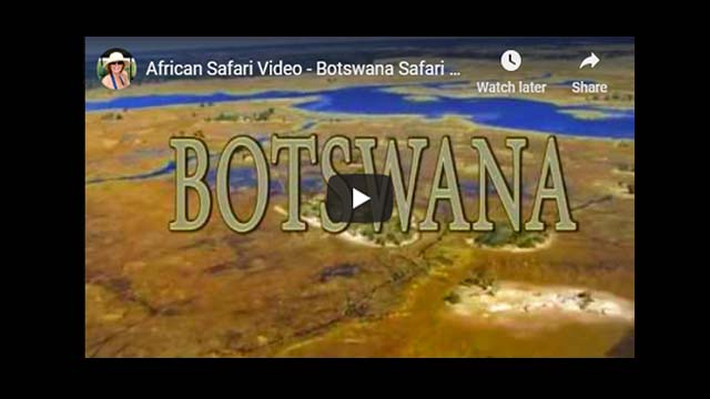 Botswana Safari Video - The Ultimate Safari Destination (Part 3)