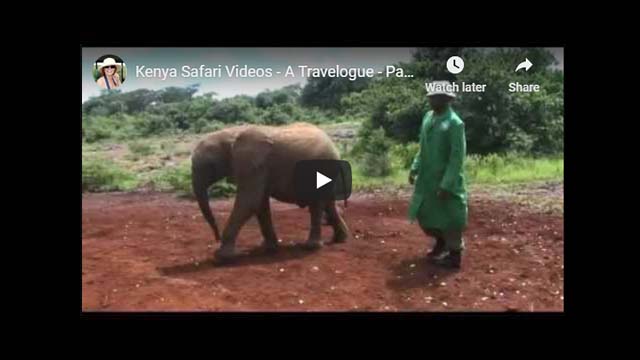 Kenya Safari Video - Africa Travelogue Part 2 | Nairobi Excursions
