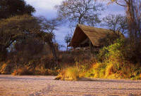 Jongumeru Safari Camp