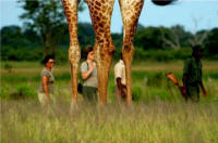 Customized Safaris in Zambia - www.photo-safaris.com