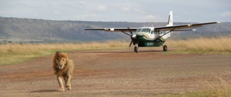The Best of Kenya Safari (11 Days) - www.photo-safaris.com