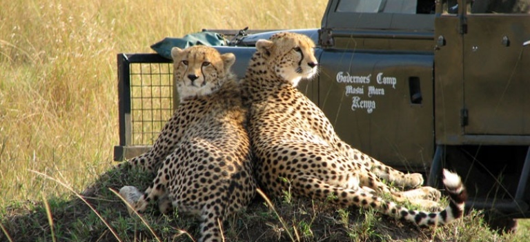 The Best of Kenya Safari (11 Days) - www.photo-safaris.com