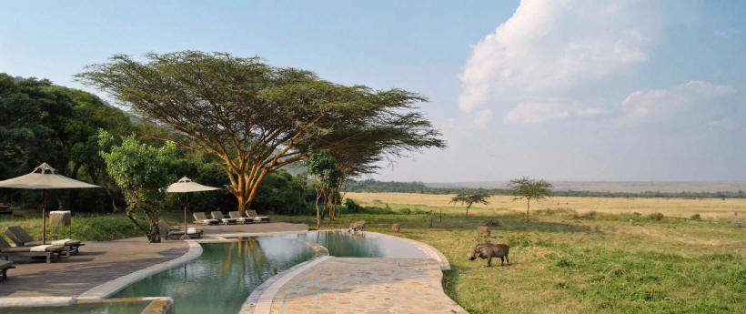 Kichwa Tembo (Kenya) - www.photo-safaris.com