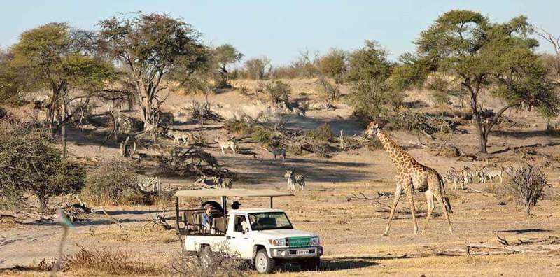 Two Sides of Botswana Safari (7 Days) - www.photo-safaris.com