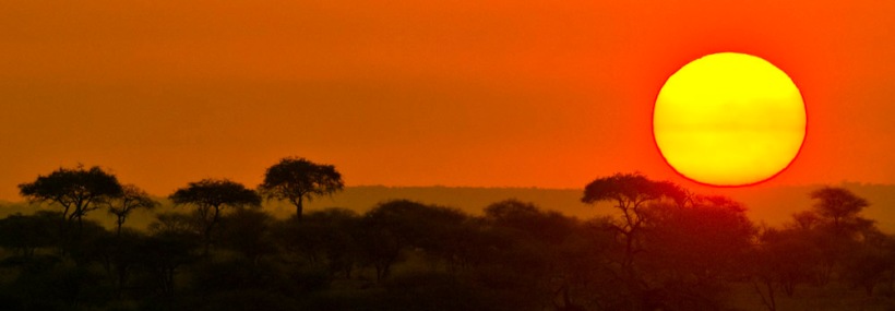 The Kiboko Safari (6 Days) -   www.photo-safaris.com