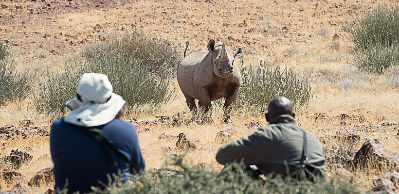 Desert Rhino Camp with Wilderness Safaris - www.photo-safaris.com