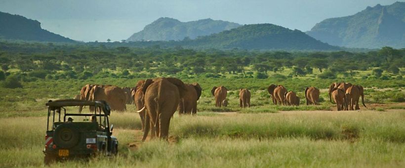 Elephant Watch Camp (Samburu / Shaba Game Reserve) Kenya - www.photo-safaris.com