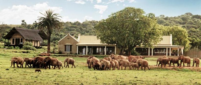 Gorah Elephant Camp, Addo National Park, South Africa - www.photo-safaris.com