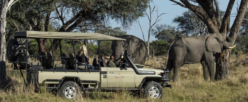 Botswana Safari on a Budget (10 Days) - www.photo-safaris.com