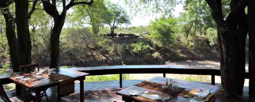 Imbali Safari Lodge (Northern Kruger National Park, Limpopo Province) South Africa - www.photo-safaris.com