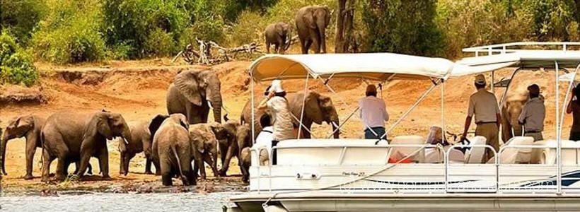 Ultimate Uganda Safari (12 Days) - www.photo-safaris.com