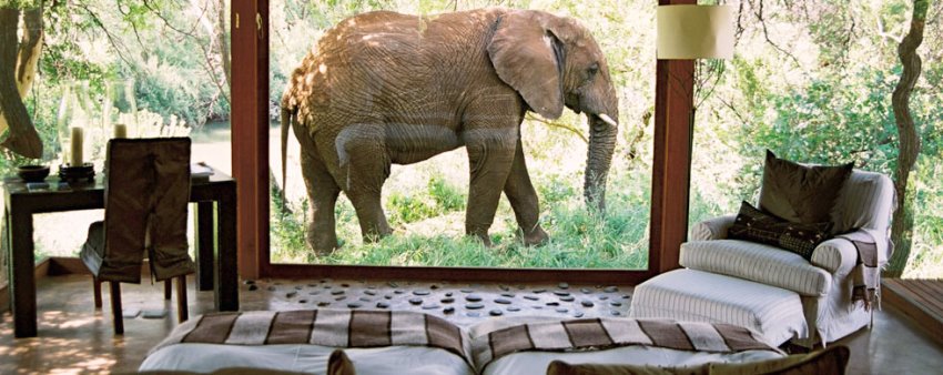 Makanyane Safari Lodge (Madikwe Game Reserve) South Africa - www.photo-safaris.com