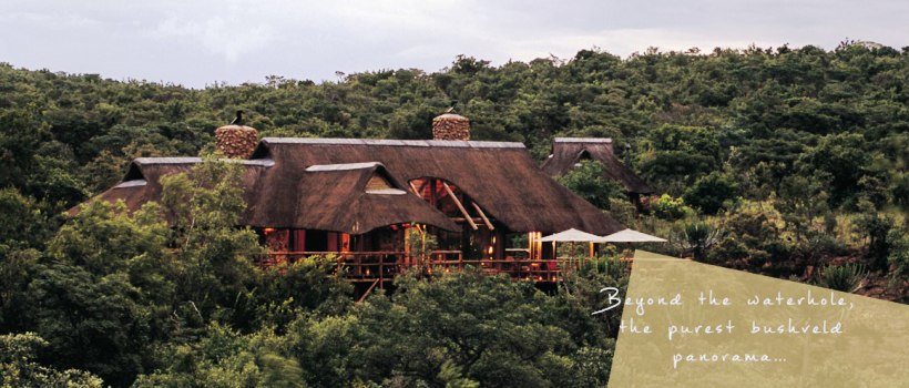 Makweti Safari Lodge (Welgevonden Game Reserve) South Africa - www.photo-safaris.com