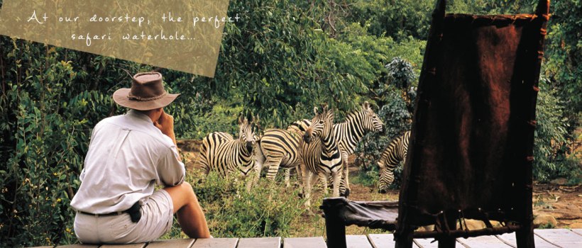 Makweti Safari Lodge (Welgevonden Game Reserve) South Africa - www.photo-safaris.com