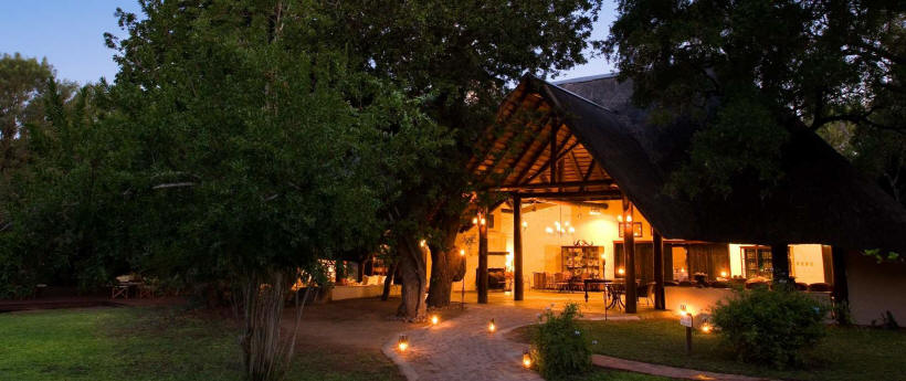 Ngala Safari Lodge - www.africansafaris.travel