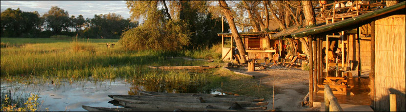 Oddballs
 Camp (Okavango Delta) Botswana - www.africansafaris.travel