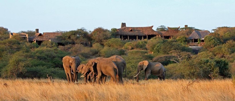 Ol Donyo Lodge (Amboseli National Park / Chyulu Hills Region) Kenya - www.photo-safaris.com