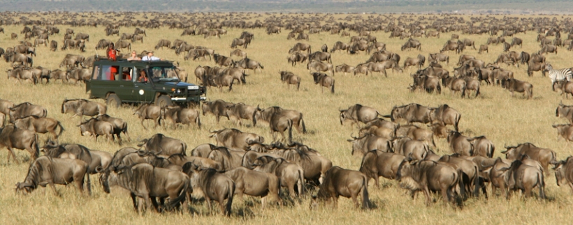 Rekero Camp (Masai Mara) Kenya - www.photo-safaris.com