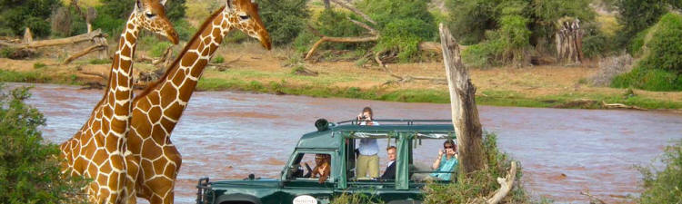 Samburu Intrepids (Samburu Game Reserve) Kenya - www.photo-safaris.com