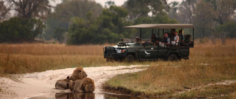 Sandibe Safari Lodge (Okavango Delta) Botswana - www.photo-safaris.com