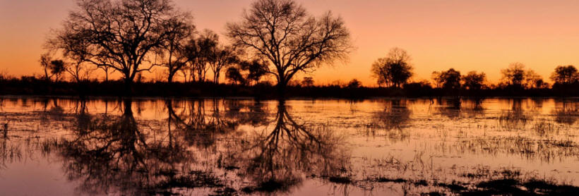 Shinde (Okavango Delta) Botswana - www.photo-safaris.com