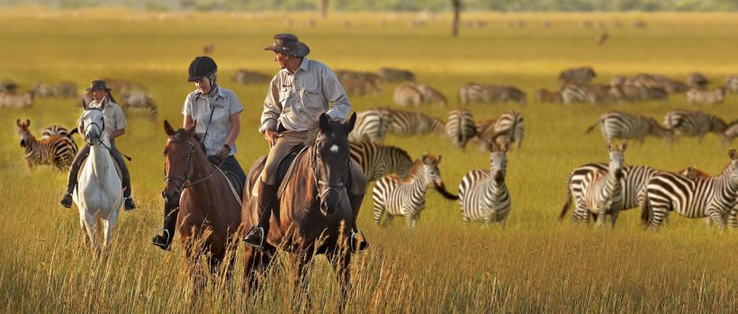 The Ultimate Tanzania Safari (9 Days) -  www.photo-safaris.com
