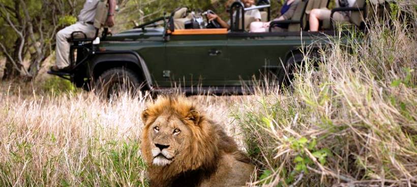 Tanda Tula Safari Camp (Timbavati Private Nature Reserve) South Africa - www.photo-safaris.com
