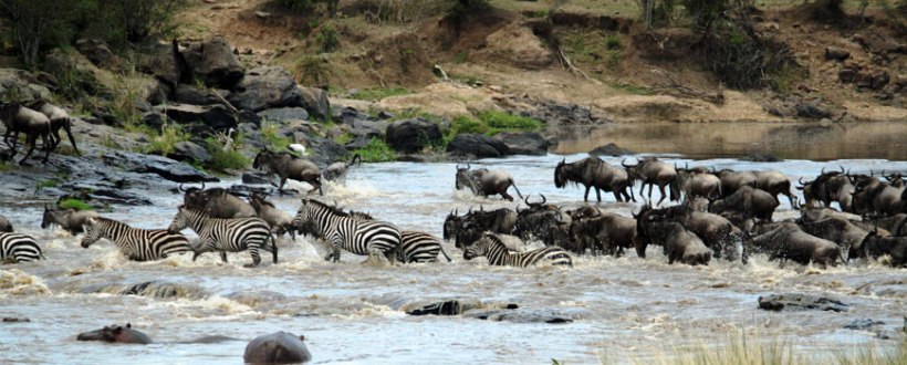 Tipilikwani Tented Camp (Masai Mara Game Reserve) Kenya - www.photo-safaris.com