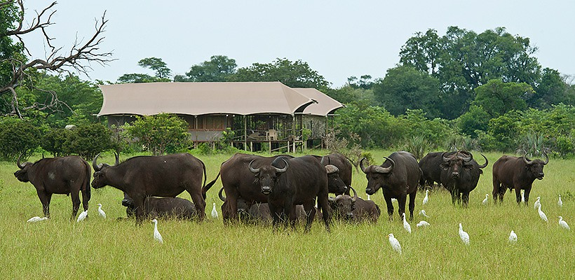 Toka Leya Camp (Mosi oa Tunya National Park, Livingstone) Zambia with Wilderness Safaris - www.photo-safaris.com