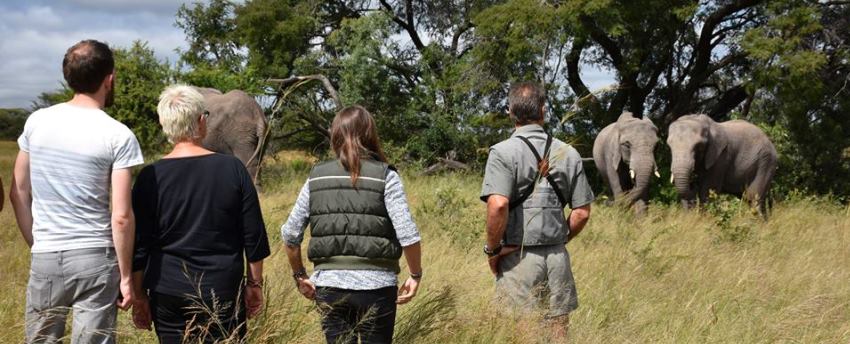 Nature Enthusiast Guide Course in Zimbabwe (14 Days) - www.photo-safaris.com
